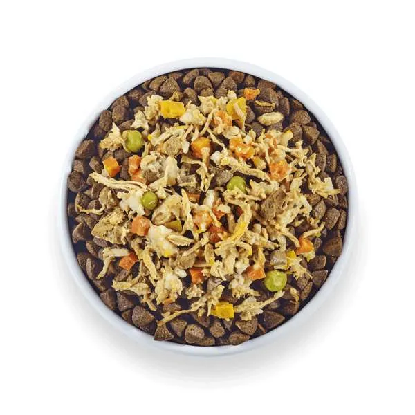 Applaws Taste Toppers Wet Dog Food Chicken with Beef Liver & Veg in Broth Tin 156g - Case of 12