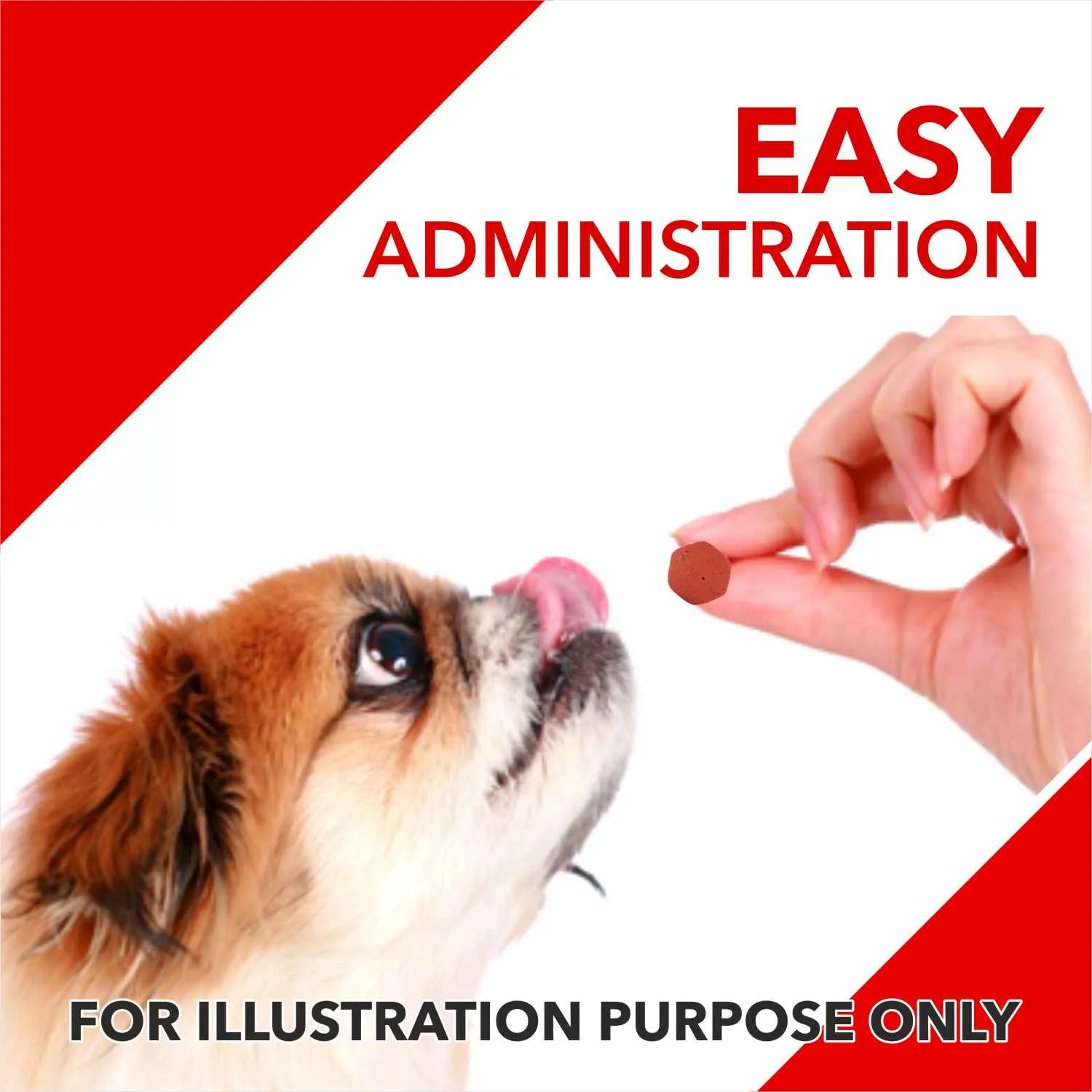 Drools Absolute Skin & Coat and  Absolute Calcium Dog Supplement Tablets Combo