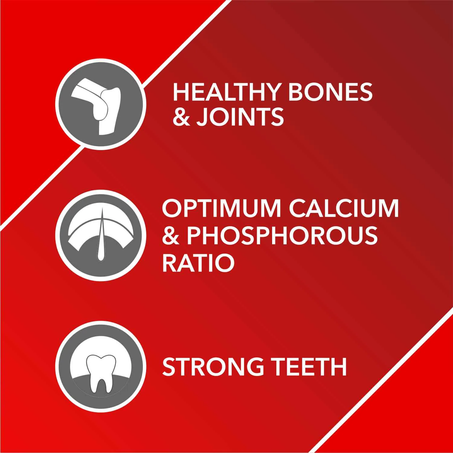 Drools Absolute Skin & Coat and  Absolute Calcium Dog Supplement Tablets Combo