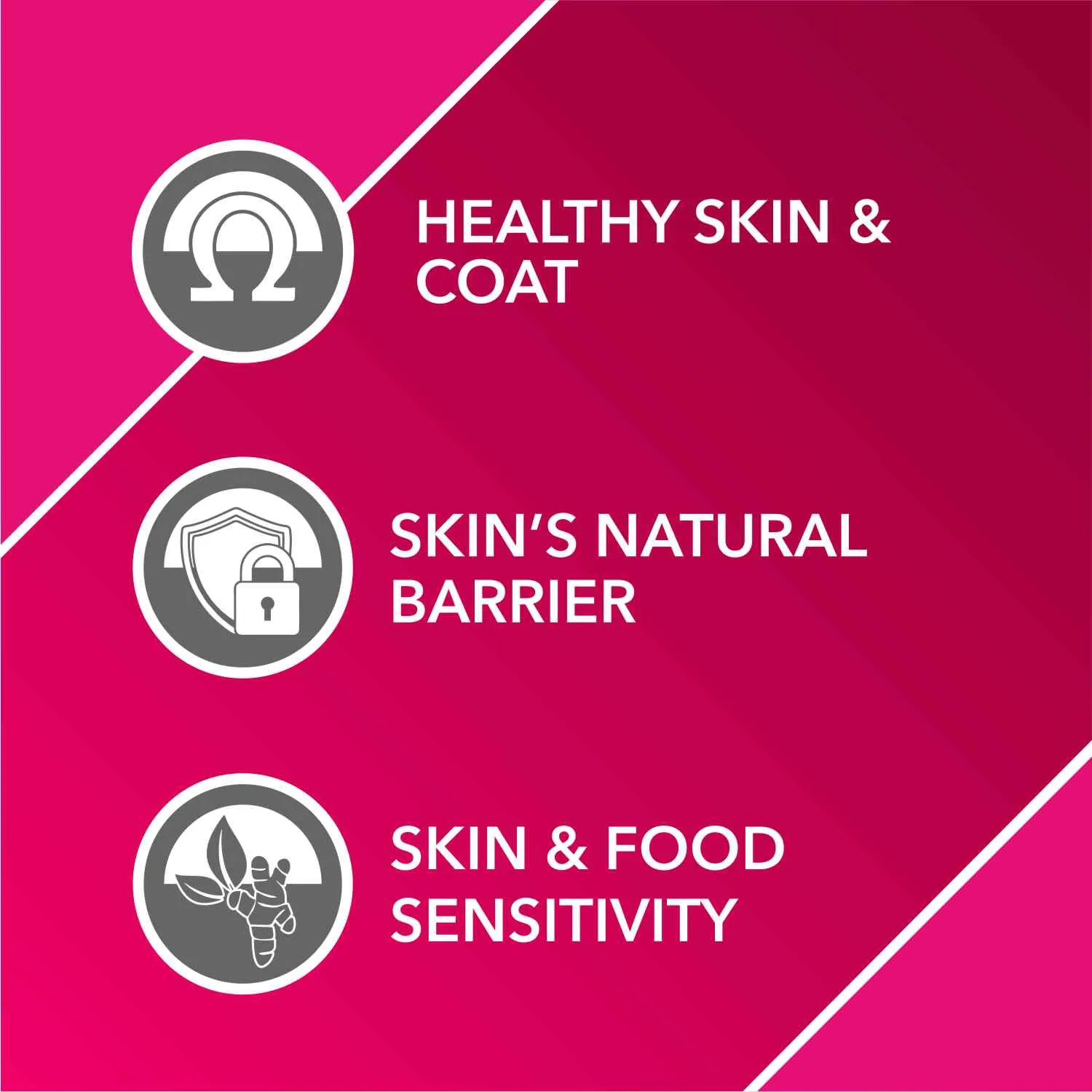 Drools Absolute Skin & Coat and  Absolute Calcium Dog Supplement Tablets Combo