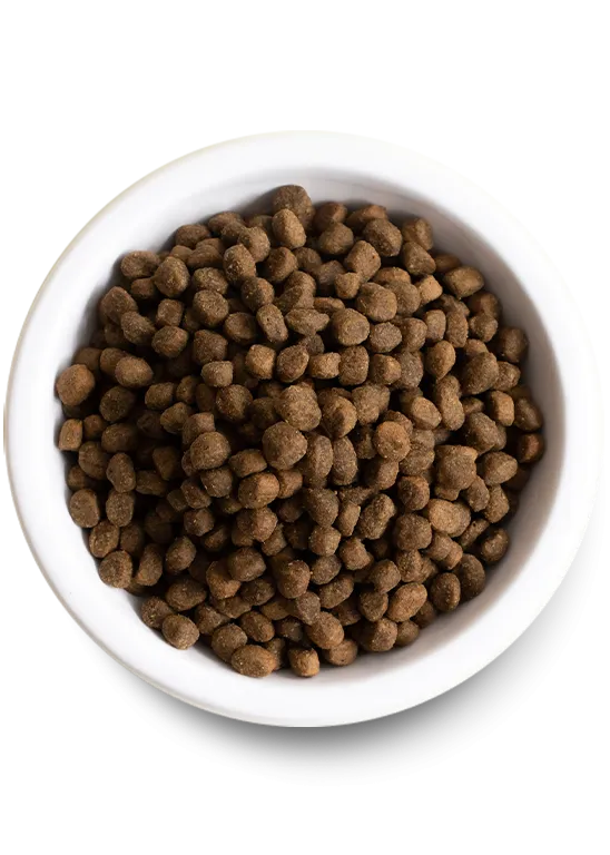 Kind Earth Premium Plant Dry Dog Food