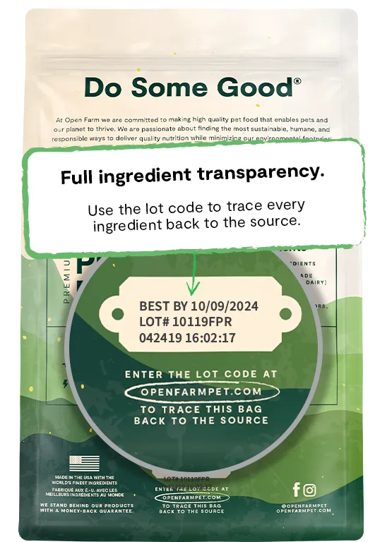 Kind Earth Premium Plant Dry Dog Food
