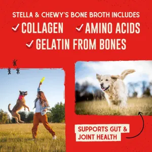Stella & Chewy's Bountiful Bone Broth Chicken for Dogs 16 oz