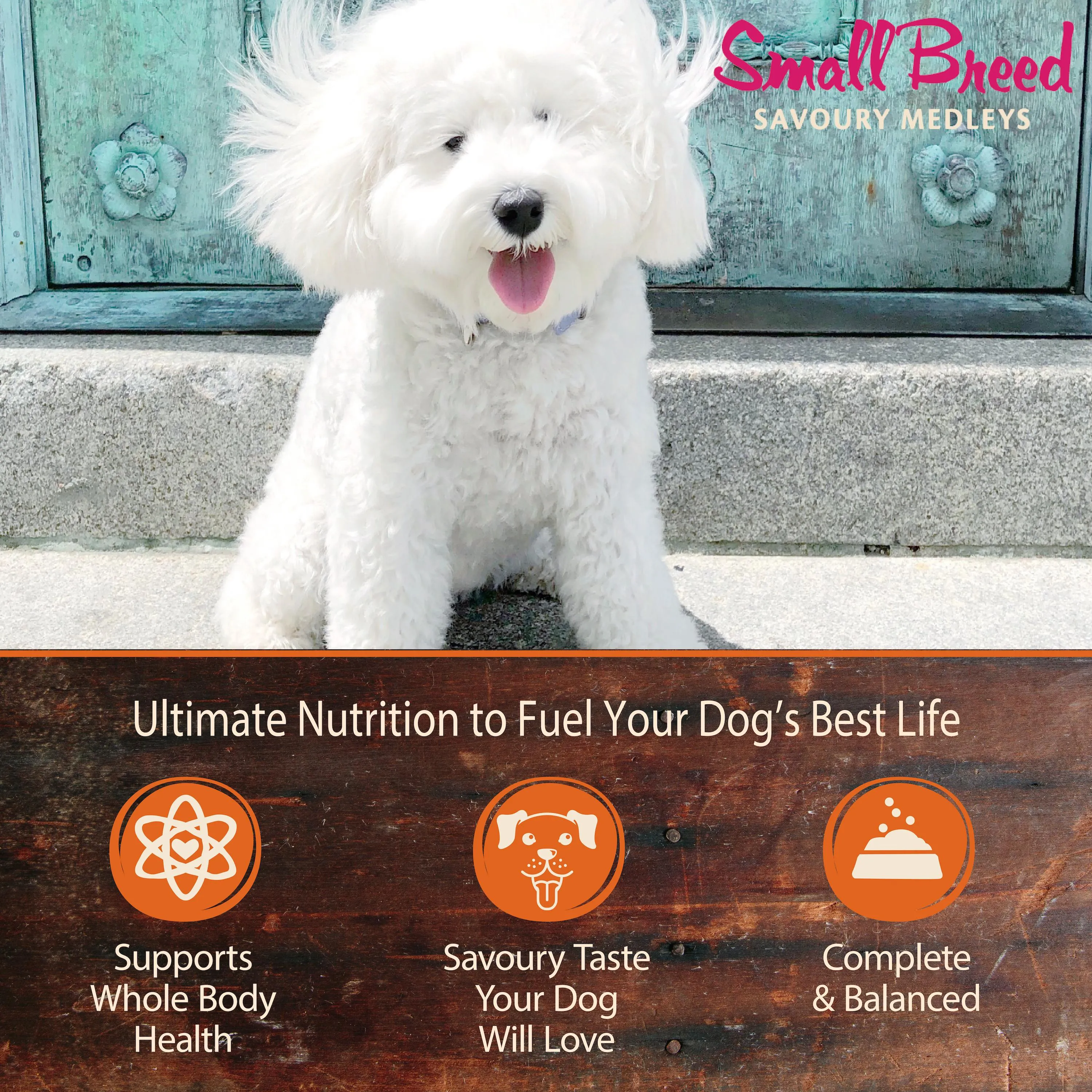 Wellness CORE Savoury Medleys Chicken, Turkey, Carrots and Green Beans Wet Small Dog Food 85g***
